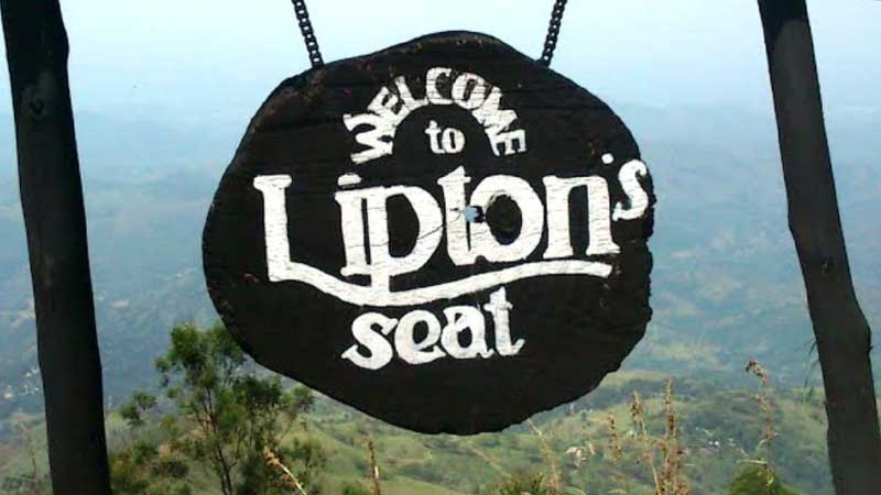 Lipton’s Seat